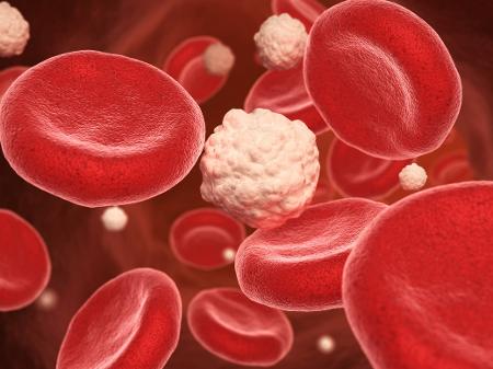 Alimentos que diminuem a glicose ( açúcar )