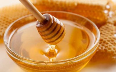 Imunidade ( parte 1 )